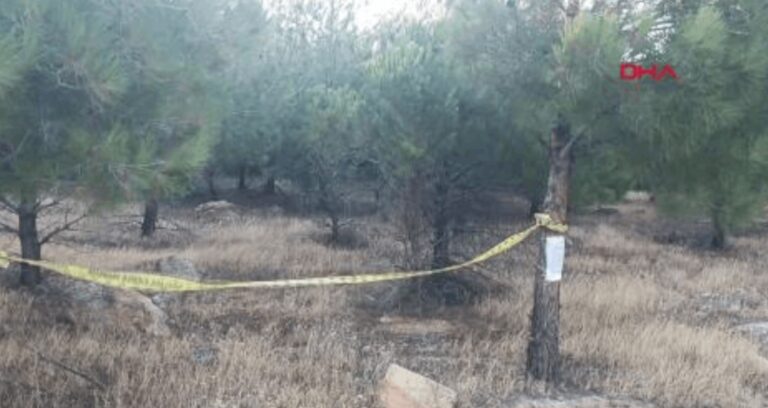 gaziantepte ormanlara girisler yasaklandi 6ONwvH5I