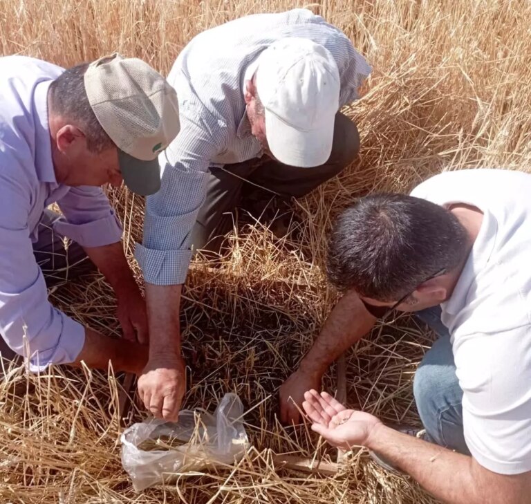 kutahyada dolu ve sel hasari tespiti FOdJXyWv