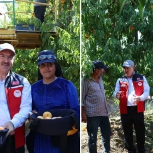 turkiye genelinde canakkale seftalide 2nci nektarinde 3uncu sirada 88Yjp1Ie