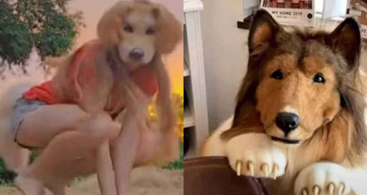 kopek olmak icin servet harcayan japon adama yeni rakip cikti NOSf6dem