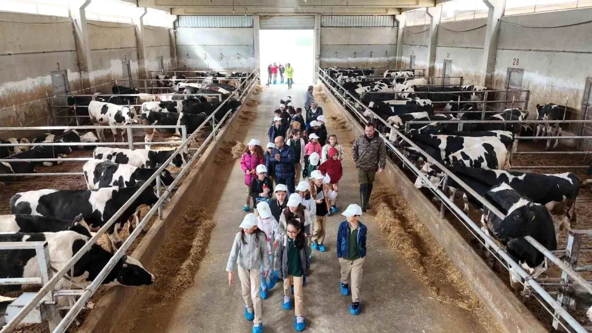 afyonkarahisarda lider cocuk tarim kampi gerceklesti fIh3H6kL.jpg