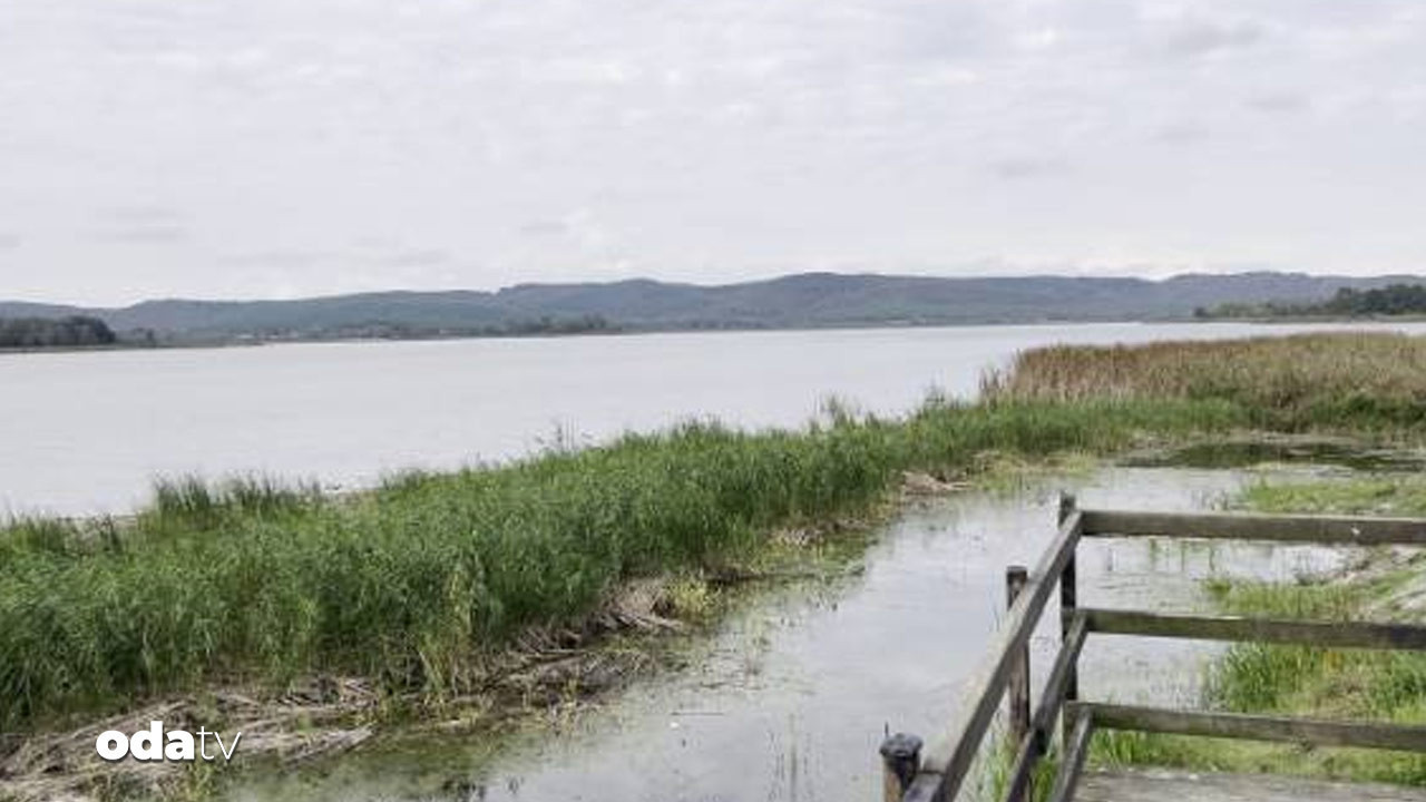 akgol kuruma tehlikesiyle karsi karsiya krdJdNPy.jpg