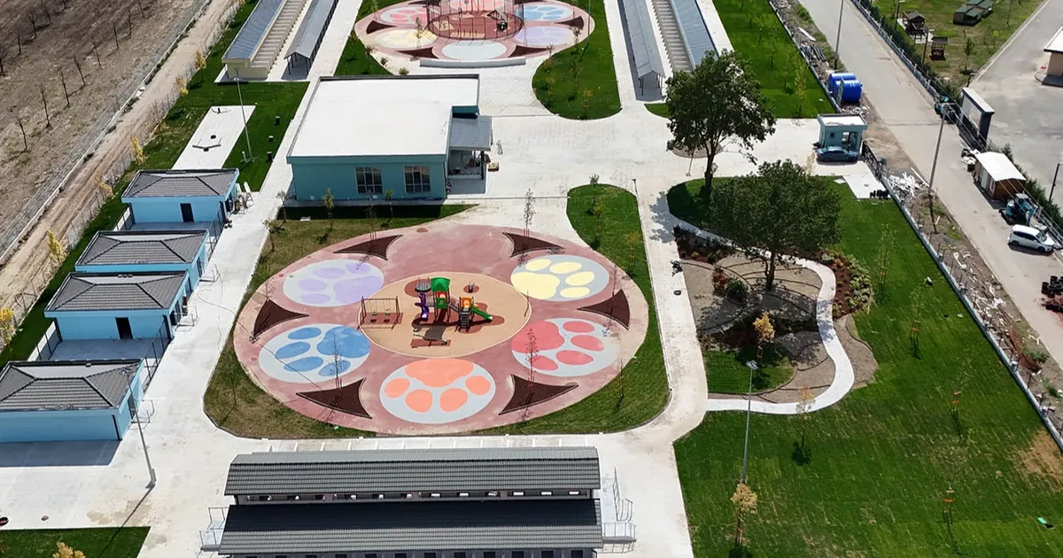 sakaryada sokak hayvanlarina guvenli yuva GUDTcPRq