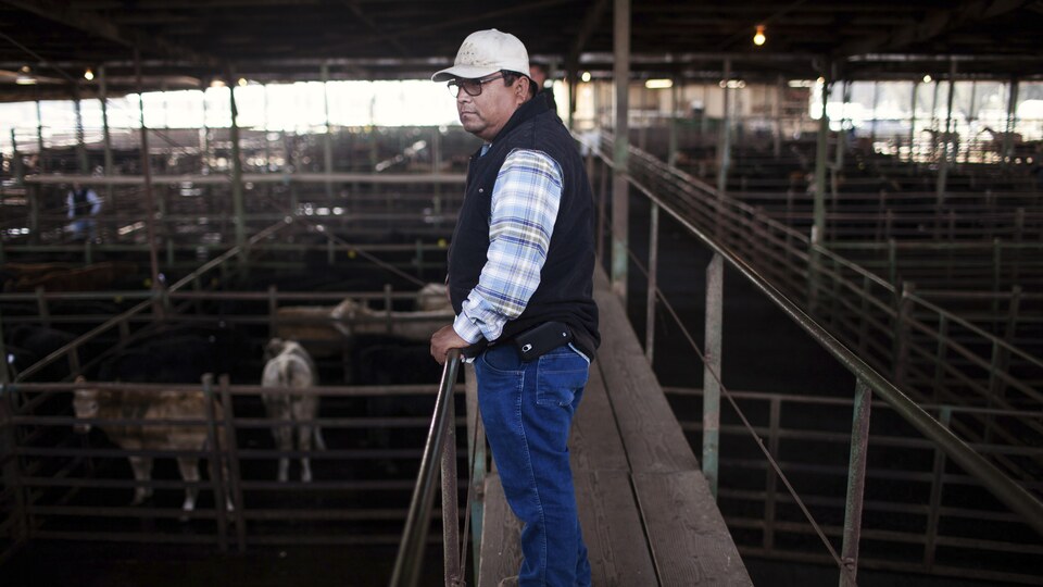 trumpin arjantinden sigir eti ithal etme plani abdli ciftcileri kizdirdi gCqM3ZGL.jpg