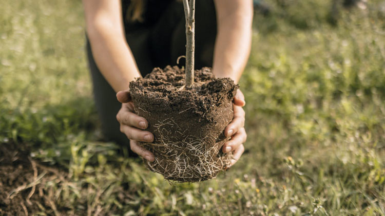 universiteye ilk adima bir fidan tTA9HIFf