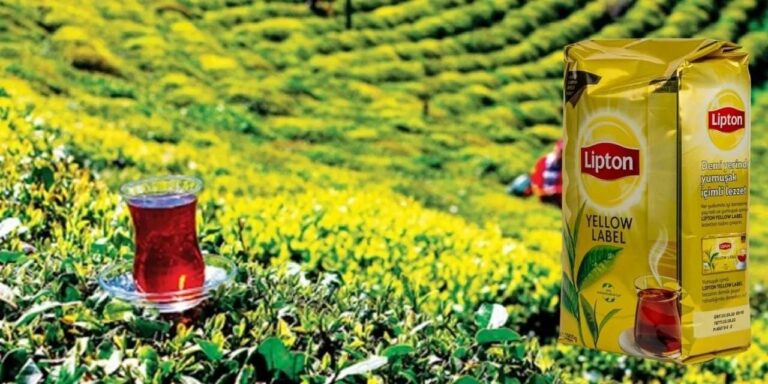 lipton-turkiyedeki-faaliyetlerine-son-verdi-xxZcAuuI.jpg
