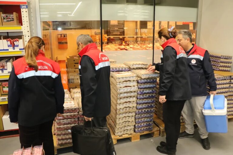 samsunda-22500-gida-denetimi-yapildi-cdbnL1O7.jpg