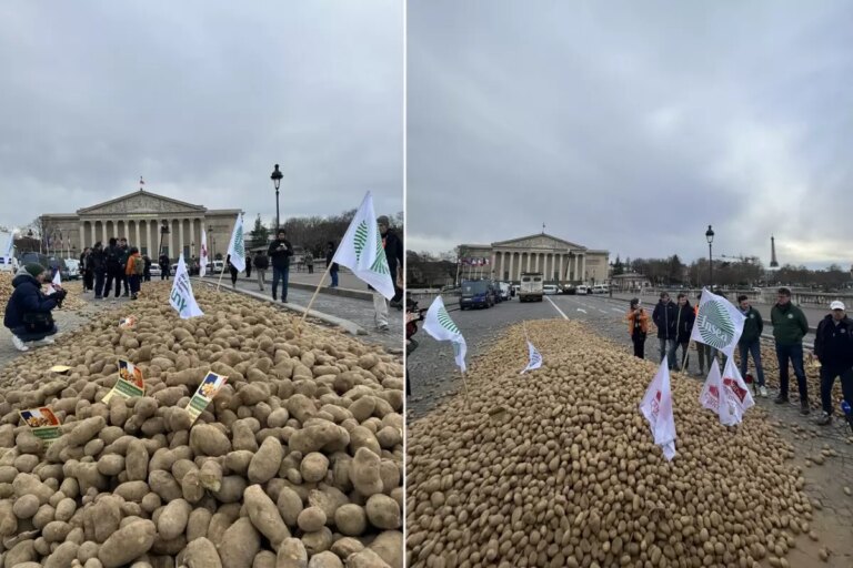 fransada-ciftcilerden-sert-protesto-meclisin-onune-30-ton-patates-doktuler-NLmvXZgT.jpg