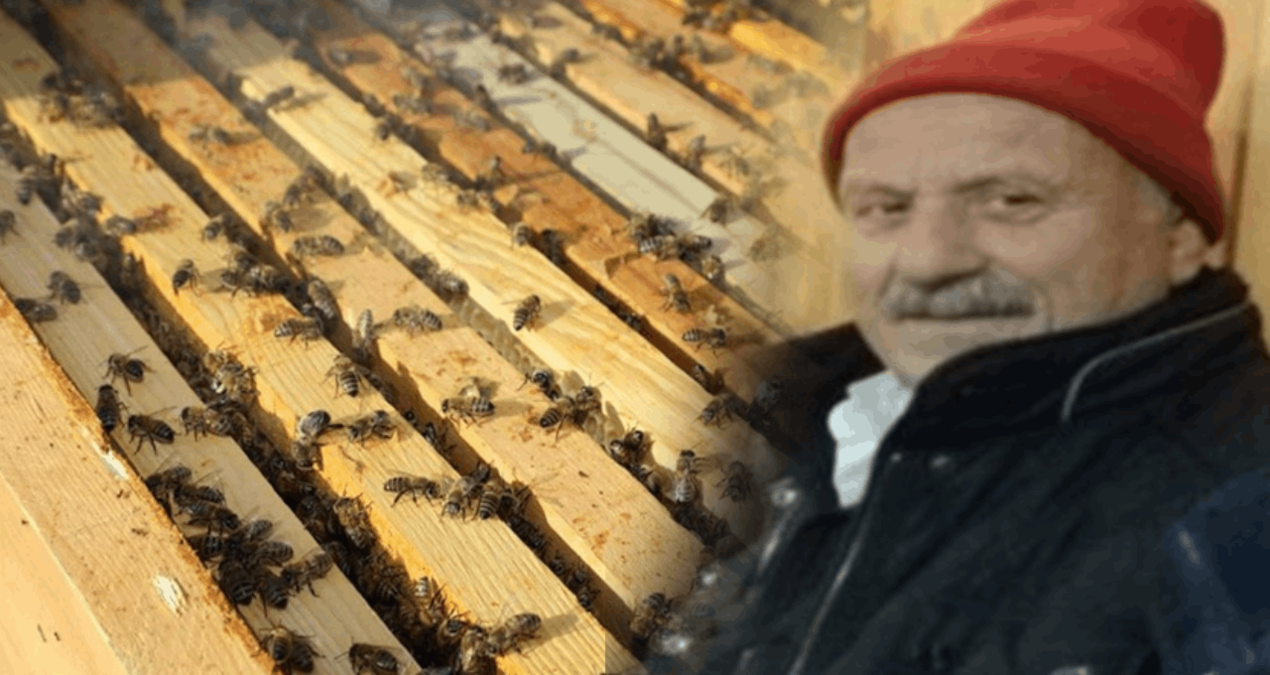 Kovan Bakımında Felaket: Arı Sokması Hayatını Aldı