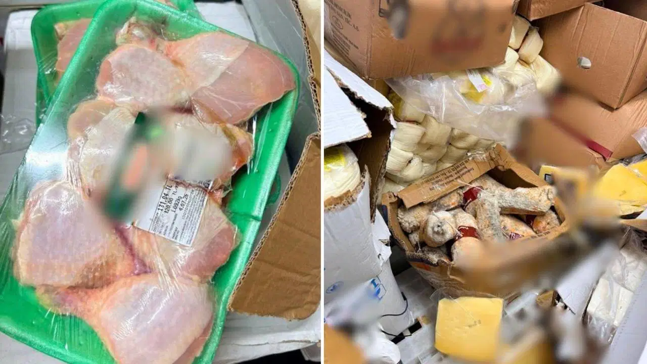 Bodrumda tarihi gecmis 12 ton gida urunune el konuldu xjBJeQTF