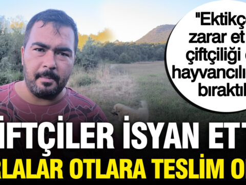 Haber gorseli